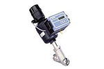 Pneumatic control valve
